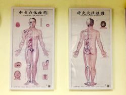 -赵大夫减肥