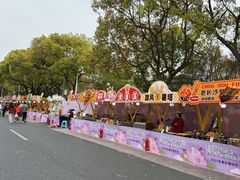 -高东镇樱花园