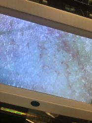-东瀛造型