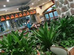 -巴依老爷新疆美食(望京小街店)