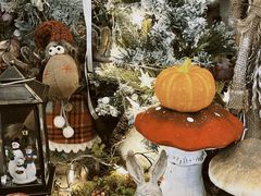 -春风·有糖(崇宁路店)