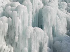 -陕西省红河谷森林公园