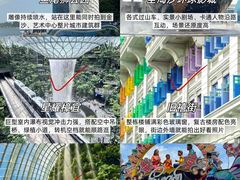 -圣淘沙天际线斜坡滑车
