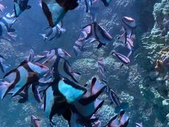 -海合安青岛极地海洋公园