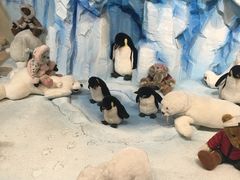 -济州岛泰迪熊博物馆