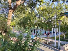 -滨河世纪广场公园