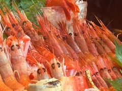 -Mr.Fish鱼鲜生海鲜放题(高德置地冬广场店)