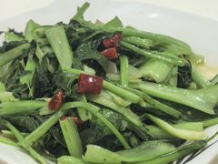 -煲来饱去冷水鱼