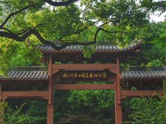 -杭州半山国家森林公园