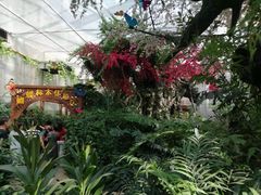-天目湖山水园