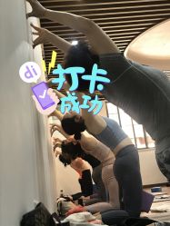 -兴亚瑜伽20年老馆