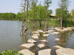 -上海长兴岛郊野公园