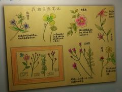 -上海昆虫博物馆