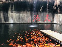 -千岛湖东南湖区