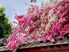 -深圳国际园林花卉博览园