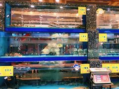 -红星渔村(将军石店)