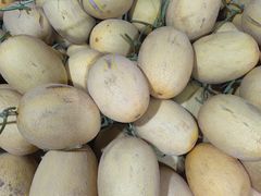 -新鸿港水果市场(三亚新鸿港国际商品交易中心店)