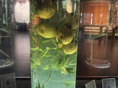 -广东中医药博物馆