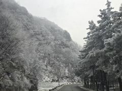 -秦岭终南山世界地质公园翠华山景区