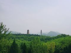 -仙游寺