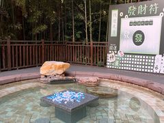 -天目湖涵田半山温泉