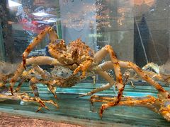 -海逸海鲜酒家(古北店)