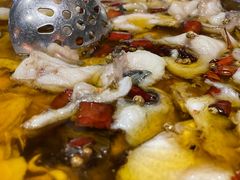 -雲蜀龙阁·金牌水煮鱼(方庄店)