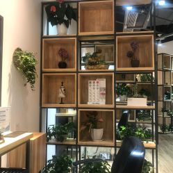 -曼都发型·臻选