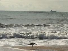 -海云台海滩