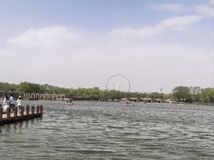 -石家庄市植物园
