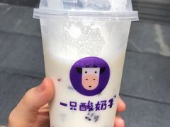 -一只酸奶牛(八一路店)
