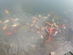 -永泰中国云顶