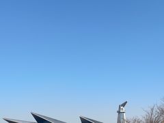 -盐城丹顶鹤湿地生态旅游区