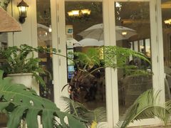 -Fern Forest Cafe