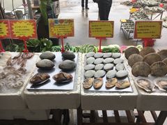 -蚝专家(北滘店)