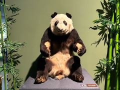 -深圳博物馆历史民俗馆