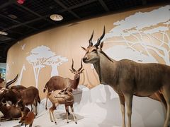 -陕西自然博物馆