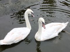 -海南热带野生动植物园