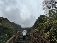 -九峰山