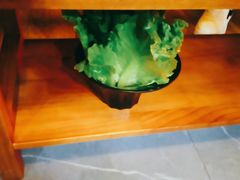 -旺晖本帮骨头煲·深夜火锅(梅园路店)
