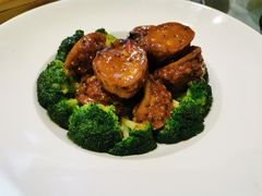 -沪碟·精菜坊(闵行店)