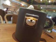 -柴务处·柴犬主题狗咖