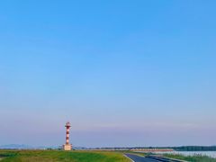 -合肥滨湖国家森林公园