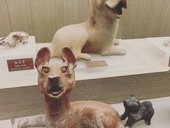 -中国农业博物馆