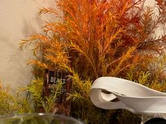 -克比叔叔印度餐厅Kebabs on the Grille(永康路分店)