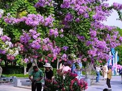 -杭州城北体育公园