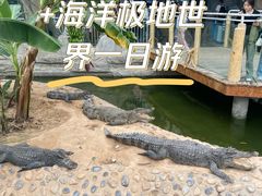 -石家庄市动物园