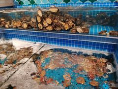 水产区-乔哥铭洋海鲜自助(皇城恒隆广场店)