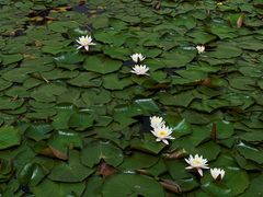 -山东大学(威海校区)