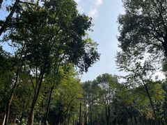 -重庆彩云湖湿地公园